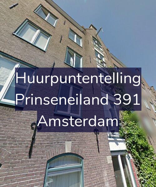 Foto gevel Huurpuntentelling voor Prinseneiland 391, Amsterdam