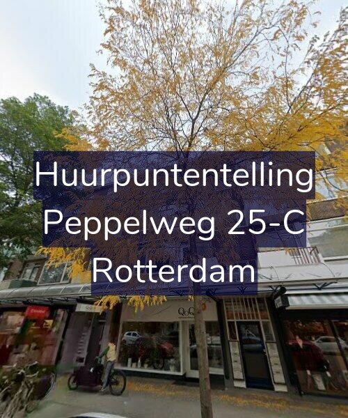Foto gevel Huurpuntentelling voor Peppelweg 25-C, Rotterdam